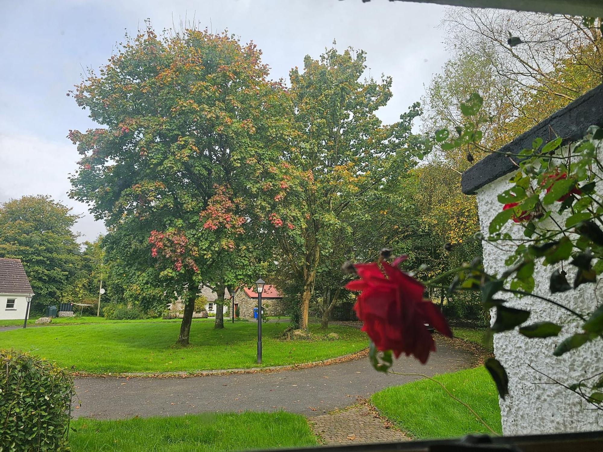 Longford Holiday Red Rose Self Catering Cottage Eksteriør billede